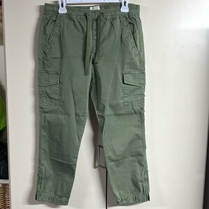Sanctuary cargo style pants